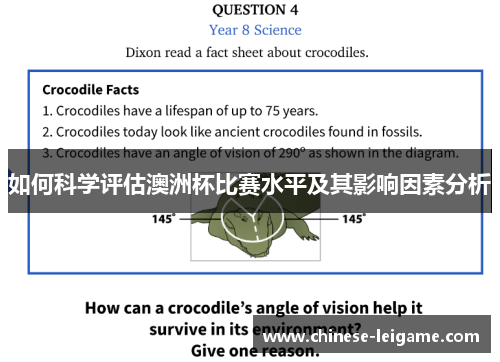 如何科学评估澳洲杯比赛水平及其影响因素分析