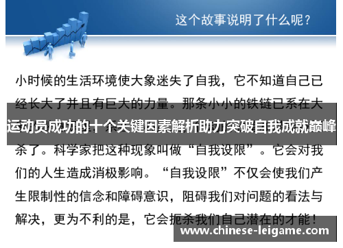 运动员成功的十个关键因素解析助力突破自我成就巅峰 运动员成功的十个关键因素解析助力突破自我成就巅峰