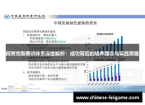 阿贾克斯青训体系深度解析：成功背后的培养理念与实践策略