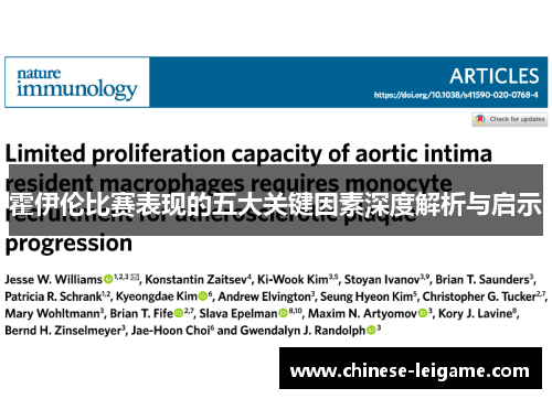 霍伊伦比赛表现的五大关键因素深度解析与启示