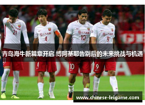 青岛海牛新篇章开启 博阿基耶告别后的未来挑战与机遇