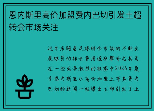 恩内斯里高价加盟费内巴切引发土超转会市场关注